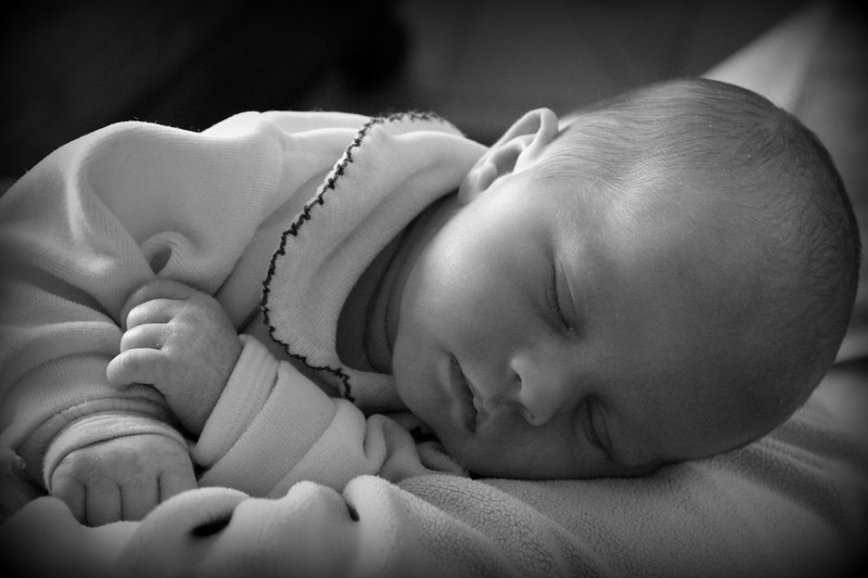 Photographe à Boisbreteau 16480